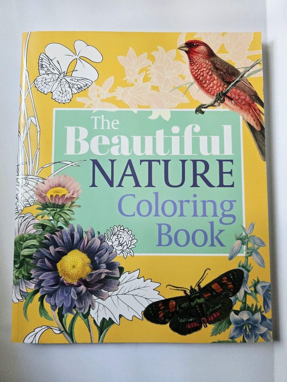 The Beautiful Nature Adult Vintage Coloring Book - Picture 15 of 15